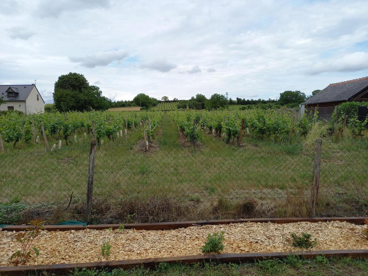 Hébergement Sarment du Véron Chinon Villa Beaumont-en-Véron Esterno foto