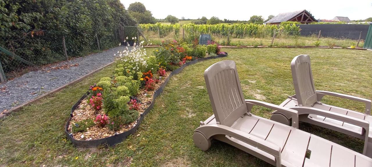 Hébergement Sarment du Véron Chinon Villa Beaumont-en-Véron Esterno foto